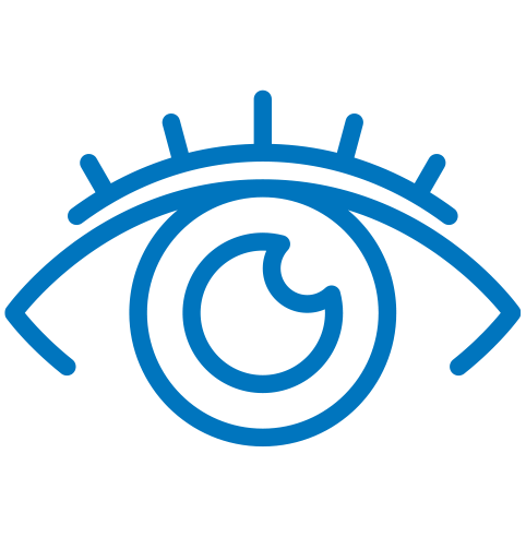 Segmentos de mercado de iconos de oftalmología