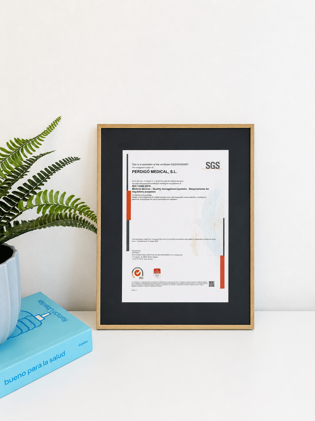 SGS ISO 13485